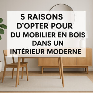Lire la suite à propos de l’article 5 raisons d’opter pour du mobilier en bois dans un intérieur moderne
